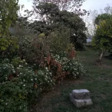 automne antre des vices