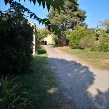 automne antre des vices