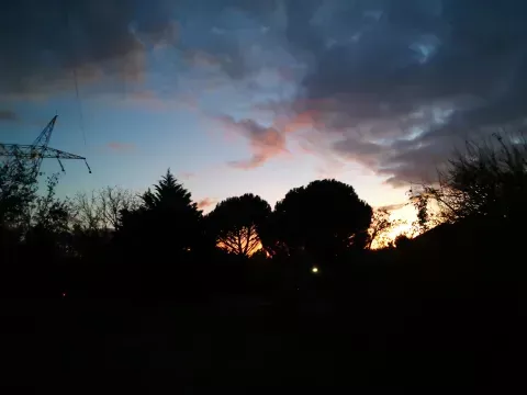 nuit antre des vices